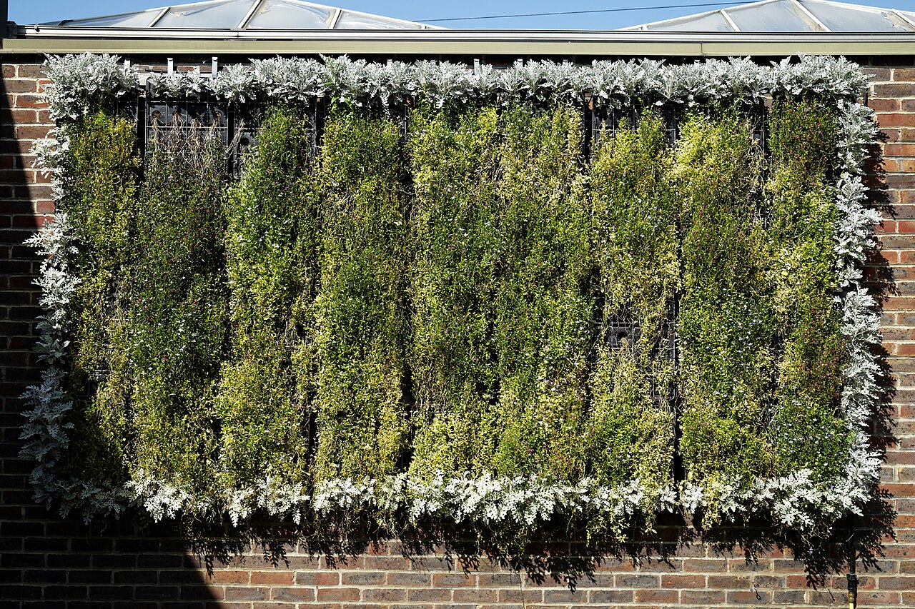 Jardim vertical de parede totalmente coberto por plantas, exemplo de horta vertical montada em estrutura fixada na parede