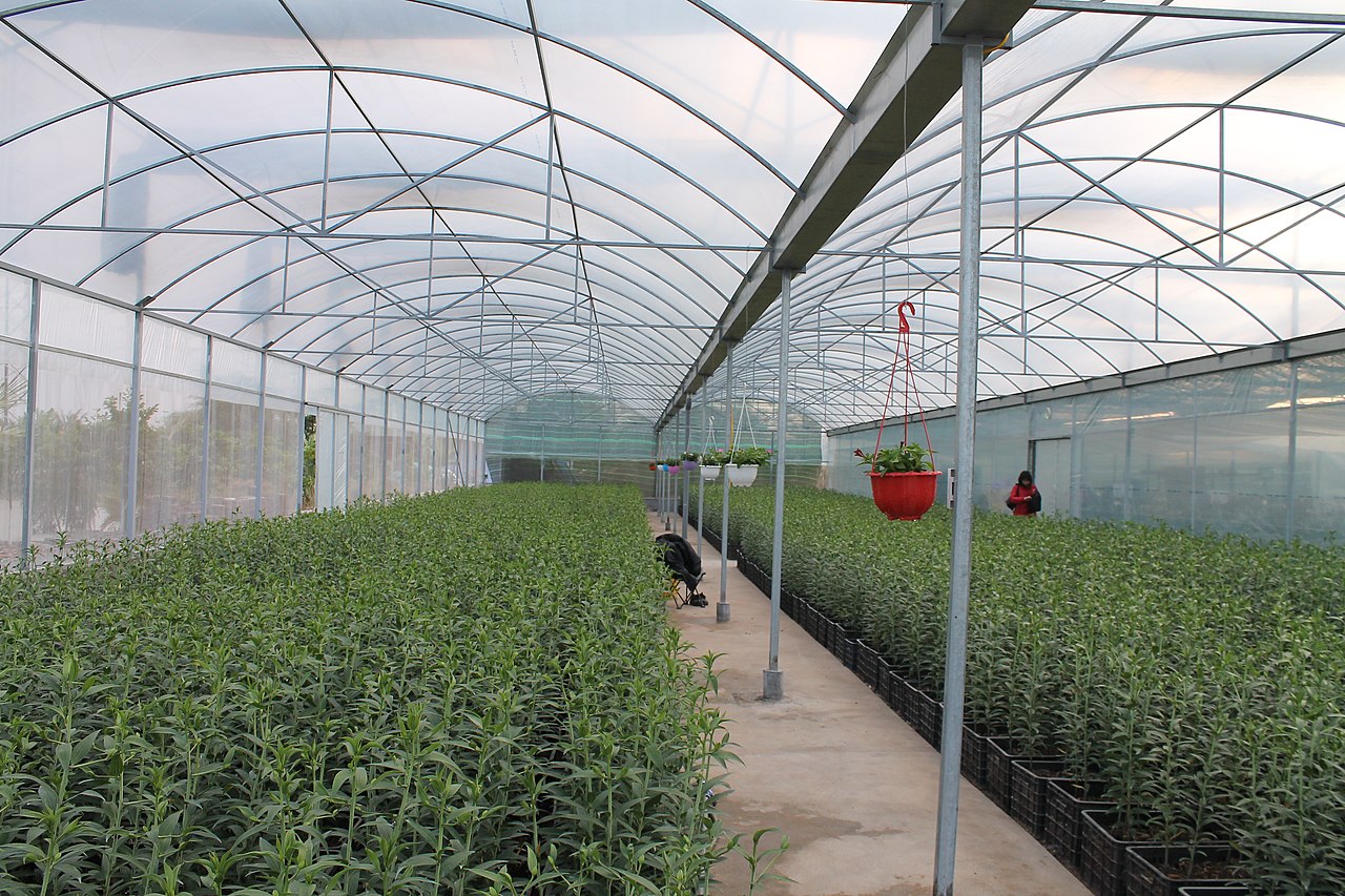 Estrutura coberta com tela de sombreamento para proteger plantas do sol