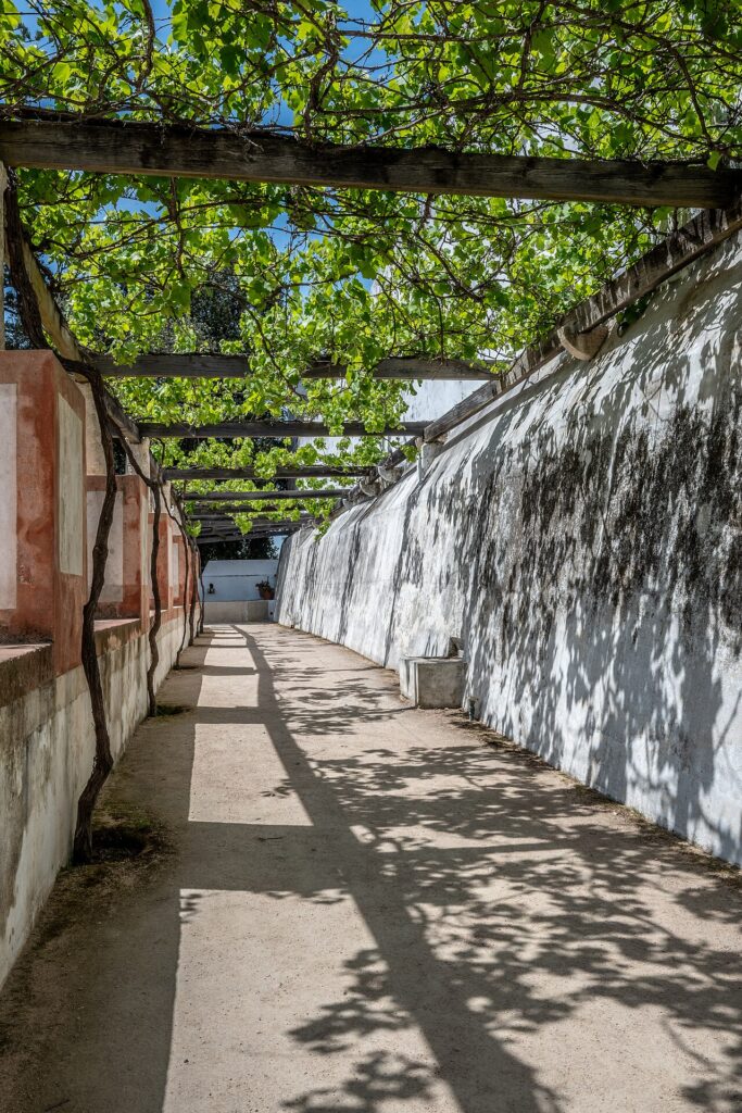 Pergolado de madeira com vinhas em jardim, mostrando estrutura de vigas de madeira