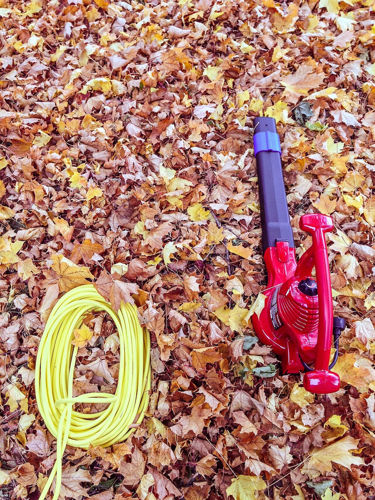 Soprador de folhas eletrico vermelho com fio de extensao sobre folhas de outono