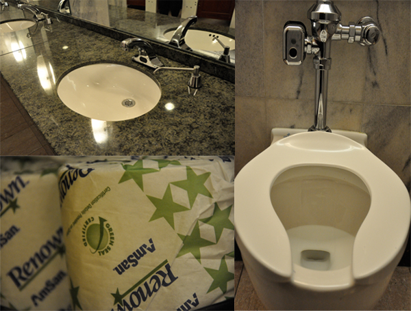 Banheiro onde a ducha higiênica será instalada ao lado do vaso sanitário
